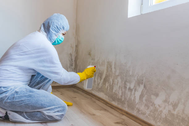 Licensed Bathroom Mold Removal service in Leonia, NJ - WQB Mold Removal