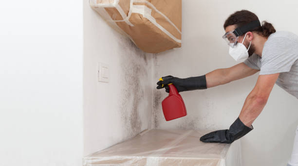 Professional Bathroom Mold Removal technician working in Leonia, NJ