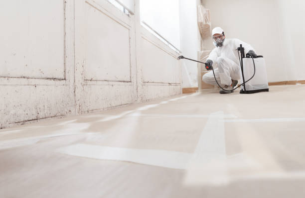 24/7 Emergency Bathroom Mold Removal experts in Leonia, NJ