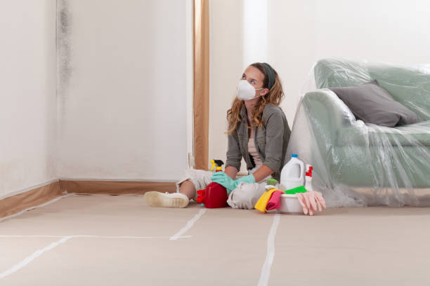 Reliable Bathroom Mold Removal contractor in Leonia, NJ by WQB Mold Removal