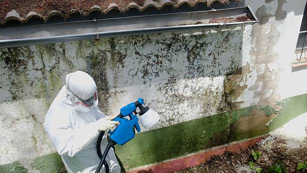 Top rated local Bathroom Mold Removal specialists in Leonia, NJ